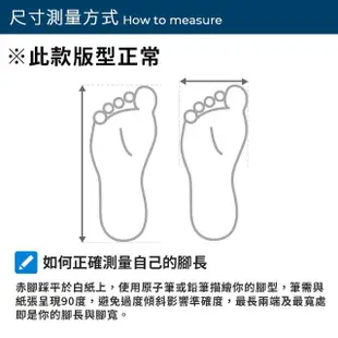 【Crocs】Classic Whi Molded 男鞋 女鞋 白色 洞洞鞋 布希鞋 卡駱馳 涼拖鞋 10001-100