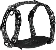 Alcott Adventure Nylon Harness, Black, Medium