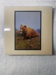 "UNBEARABLE" ALASKA BROWN BEAR CUB, CERAMIC ART TILE OF ALASKA