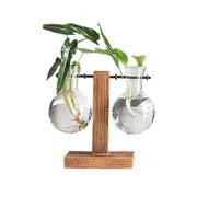 Hanging Glass Vase Wooden Stand Hydroponics Terrarium Container Pot Home Decor 2 Bulbs