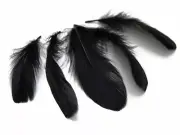 1 Pack - Black Goose Nagoire Loose Feather 0.25 Oz. Craft Supplier Halloween