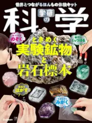 Gakken Science - Exciting experimental minerals and rock specimens: A real exper