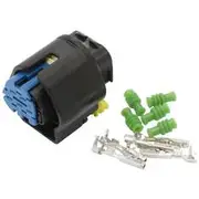 Aeroflow Bosch Pressure & Temperature Sensor Plug & Pins AF49-1554 - AF59-1554