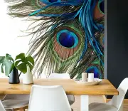 3D Peacock Feather ZHUA8735 Wallpaper Wall Murals Removable Self-adhesive Amy