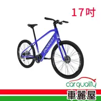 在飛比找momo購物網優惠-【DOSUN】電動輔助自行車 DOSUN CT150 17吋