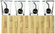 Wrecked Drinking Game Set