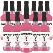 Owen’s Craft Mixers Live Nation Exclusive Prickly Pear 12 Pack
