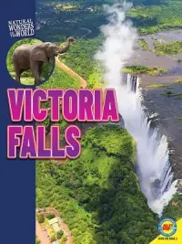 在飛比找博客來優惠-Victoria Falls