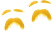 Ciieeo 2 Sets Fake Beard Costume Mustache Bristle Facial Man Mustache Disguise Fake Mustache Beard Fake Boar Beard for Men Hair Beard Costume Beard Color for Men Party Old Cloth Yellow
