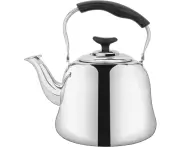 2 Liters Stainless Steel Tea Kettle, Teapot