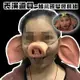萬聖節 豬八戒 (3件組) 豬耳朵 豬鼻 豬面具 西遊記 面罩 cosplay 變裝遊行【塔克】