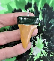 BEAUTIFUL MAKO SHARKS TOOTH PENDANT MALACHITE ROOT CUP SHARKS TEETH JEWELRY