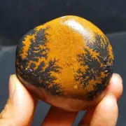 Rare122.8G Natural Treeline stone Crystal China Mongolia 53A97+