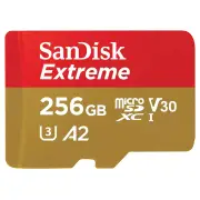 Sandisk 256GB Extreme microSDXC UHS-I CARD SQXAV256GGN6MA