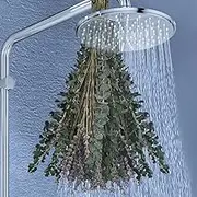 20/10Pcs Dried Eucalyptus Bundle for Shower Hanging Eucalyptus Lavender Bouquet Natural Preserved Eucalyptus Leaves Fragrance Bouquet Hanging Decoration for Bathroom Wedding PoUYWH(10 Yigali+Lavender)