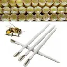 Equipment Supplies Bee Squeegee Scraper Pulp Beekeeping Tools Bees Grafting Pen