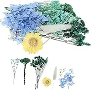 TEHAUX Decorative Pressed Flowers Dried Flowers for Crafts DIY Materials Natural Craft 1 Pack