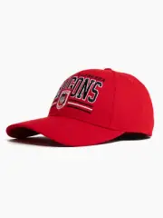 Team Official NRL Rugby League Kids Youths Wordmark Low Pro Cap Hat Gift
