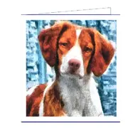 Brittany Spaniel Fine Art Notecards - Set of Six
