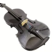 New 4/4 Solid Wood Black Violin(VB-310BK) + Case+ Bow+ Rosin+ Violin string set