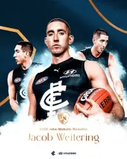 AFL Carlton blues AFL FOOTBALL Champion Team player poster, BARGAIN,1