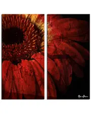 Ready2HangArt Gerber Daisy 2pc Wrapped Canvas Wall Art by Tristan Scott