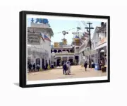 Steeplechase Coney Island 1900 Brooklyn New York Framed Photo