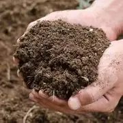 Premium Organic Potting Soil Mix, Dark Rich Compost for Indoor and Outdoor Plants