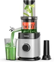 Masticating Juicer Machines, Powerful Slow Cold Press with 24 Silver