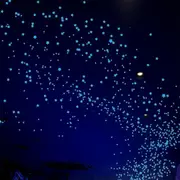 Glow in The Dark Stars Decals Decor for Ceiling 633 Pcs Realistic 3D Stickers Starry Sky Shining Decoration Perfect for Kids Bedroom Bedding Room Gifts