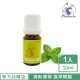 【Phoenix菲馜思】薄荷天然單方純精油10ml/1入(香氛薰香/清潔/泡澡沐浴)