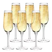 NEW Stolzle Weinland Champagne Flute Set 6pce