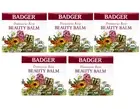 Badger Rose Beauty Balm w/ Organic Rose Oil 1 oz Glass Jar - 5 Pack