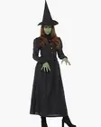 Wicked Witch - Wizard of Oz - Wicked - Classic Costume - Women - 5 Sizes