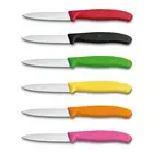 Victorinox Paring Knife Fresh Colours collection - 8cm pointed - straight blade