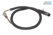 Exhaust gas temperature sensor (before dpf, 2PIN) fits: RVI KERAX, MAGNUM, PR