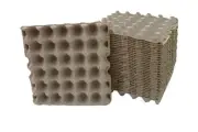 Egg Crates Flats for Feeders Crickets Roaches Crested Geckos Bearded Dragon B...