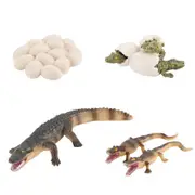 1 Set Simulation Crocodile Model Crocodile Eggs Toy Kid Educational Plaything 10x3cm
