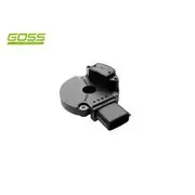 RAE Crankshaft Position Sensor - SC014