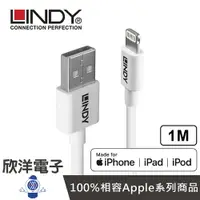 在飛比找樂天市場購物網優惠-※ 欣洋電子 ※ LINDY林帝 APPLE認證USB TY