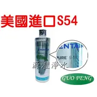 在飛比找蝦皮購物優惠-水專家=美國Everpure 系統S54濾心 原廠 型號 S