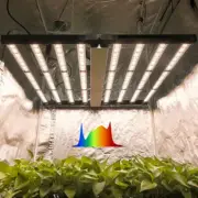 Spider 1000W Most Efficient Grow Light Full Spectrum Dimmable 8Bars Hydroponics