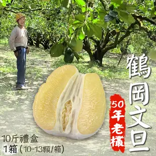 【鶴岡嚴選】老欉50年花蓮鶴岡特優文旦10斤禮盒1箱(10-13顆/箱)