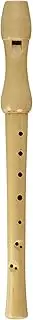 Robert Friedrich Recorder in One Box Large Majesco, Plastic, Assorted