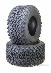 Set of 2 WANDA UTV ATV Tires 22x11-10 22x11x10 4PR High Load -10142