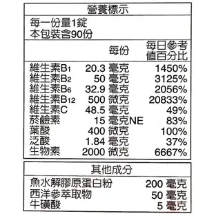 永信Fountain 活泉系列 活力B群 90 粒/盒(實體簽約店面)【立赫藥局】