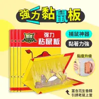 在飛比找蝦皮購物優惠-現貨★批發【官方授權正品】超大片黏鼠板 老鼠板 除蟲 老鼠剋