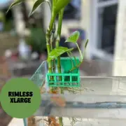 Extra Large Aquarium Pothos Plant Holder for Rimless Fish Tanks 3D Printed