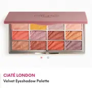 NEW! CIATE LONDON The Velvet Palette Eyeshadow 12 Shades Shimmer 12g Full Size