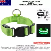 Glow In The Dark Dog Collar USB Rechargeable Adjustable Glow Flashing Light Up